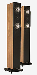 AINGEL 3205
